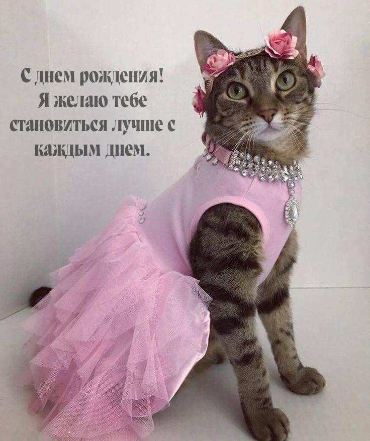 С днем рождения! Я желаю тебе становиться лучше с каждым днем.