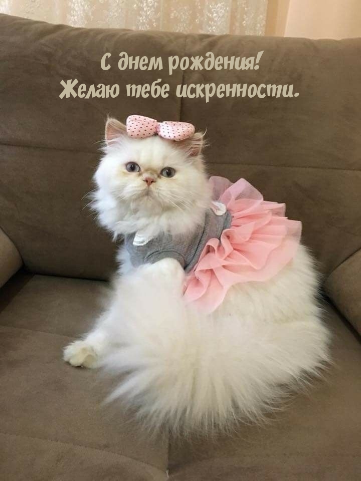 С днем рождения! Желаю тебе искренности.