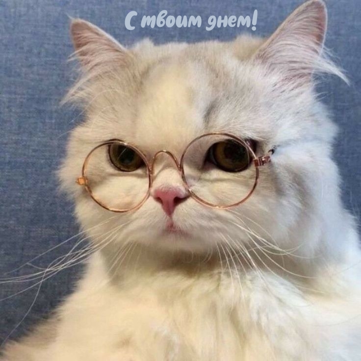 С твоим днем!