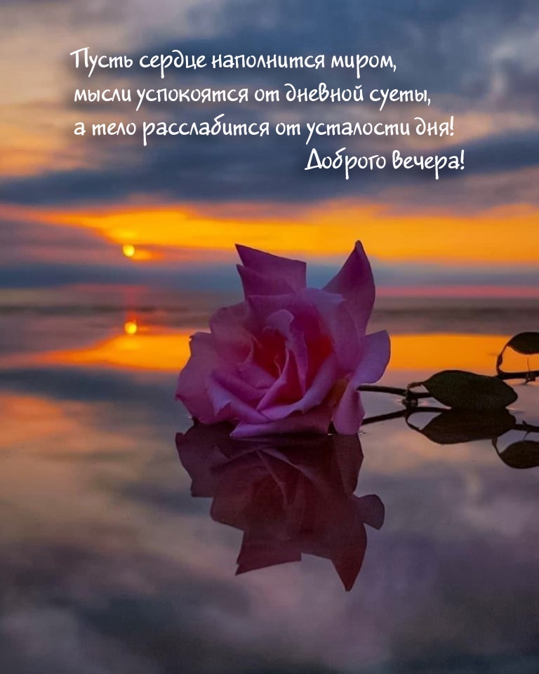 Пусть сердце наполнится миром, мысли успокоятся от дневной суеты