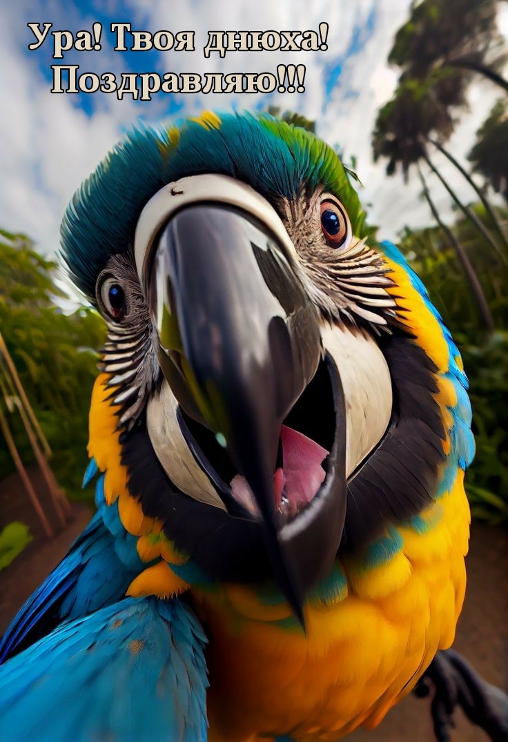Ура! Твоя днюха! Поздравляю!