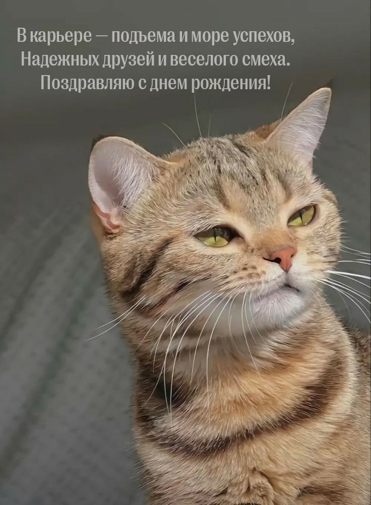 С днем рождения! В карьере — подъема и море успехов