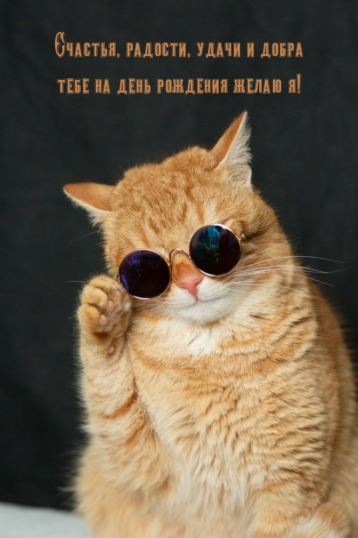 Счастья, радости, удачи и добра тебе на день рождения желаю я!