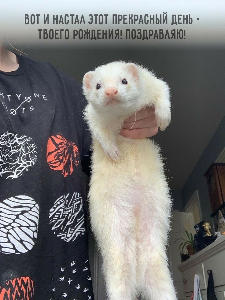 Вот и настал этот прекрасный день - твоего рождения!