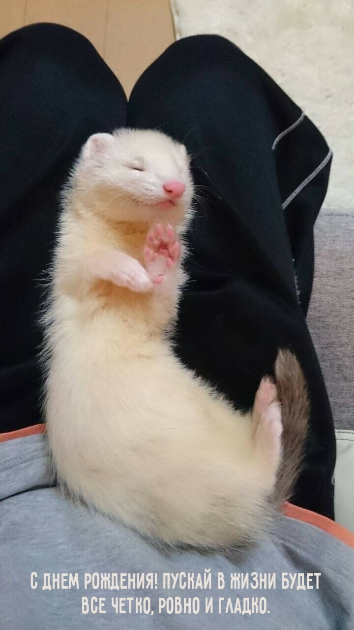 С днем рождения! Пускай в жизни будет все четко, ровно и гладко.