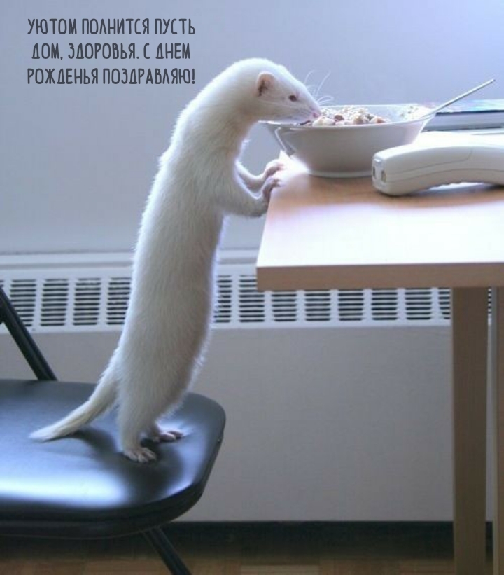 Уютом полнится пусть дом, здоровья. С днем рожденья!