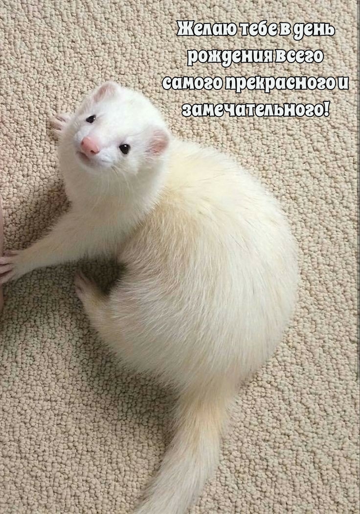 Желаю тебе в день рождения всего самого прекрасного