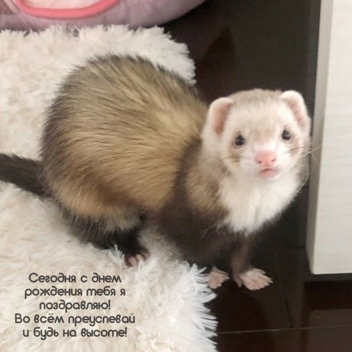 Сегодня с днем рождения тебя я поздравляю!