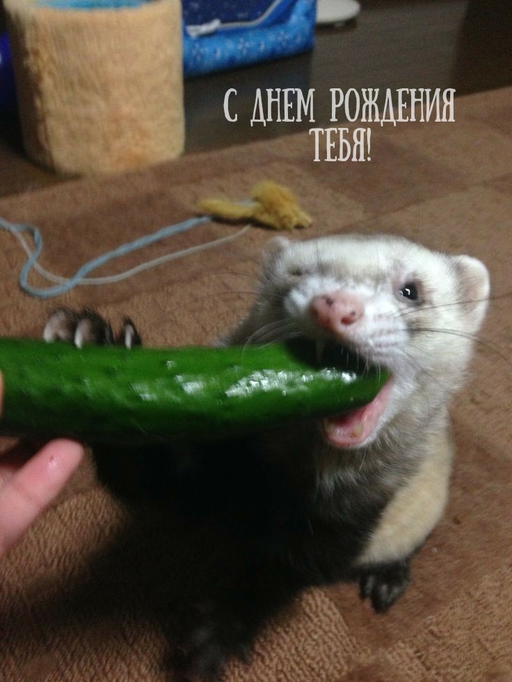 С днем рождения тебя!