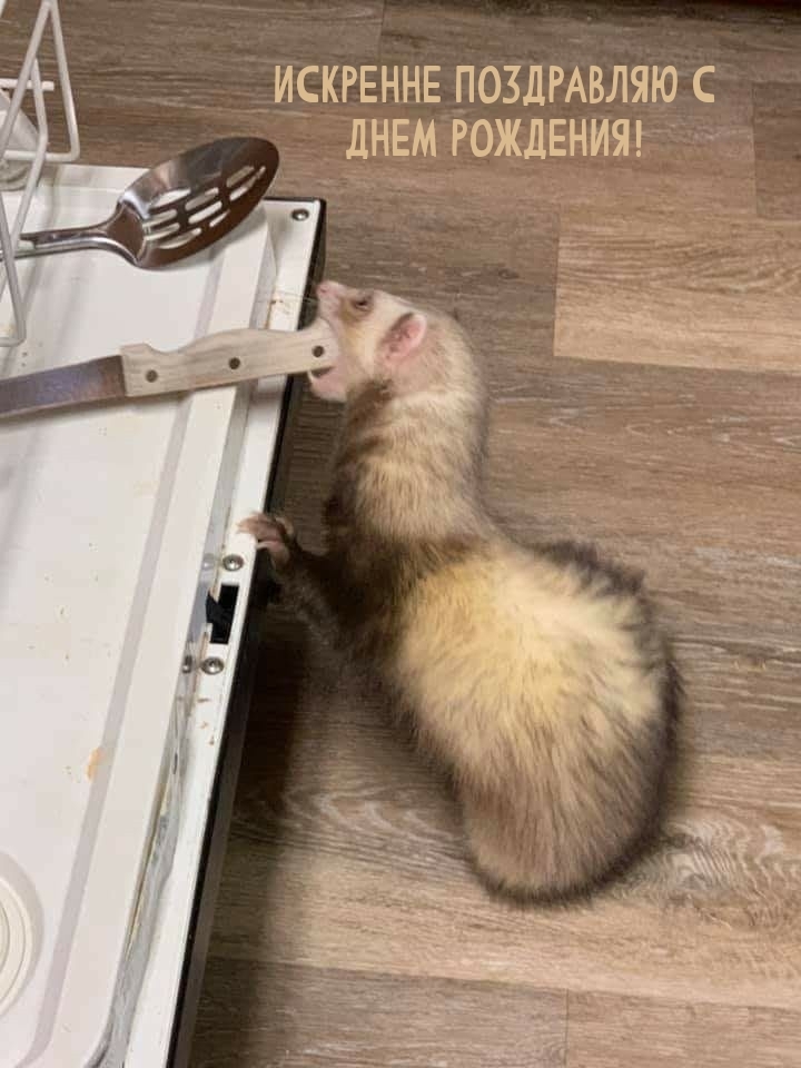 Искренне поздравляю с днем рождения!