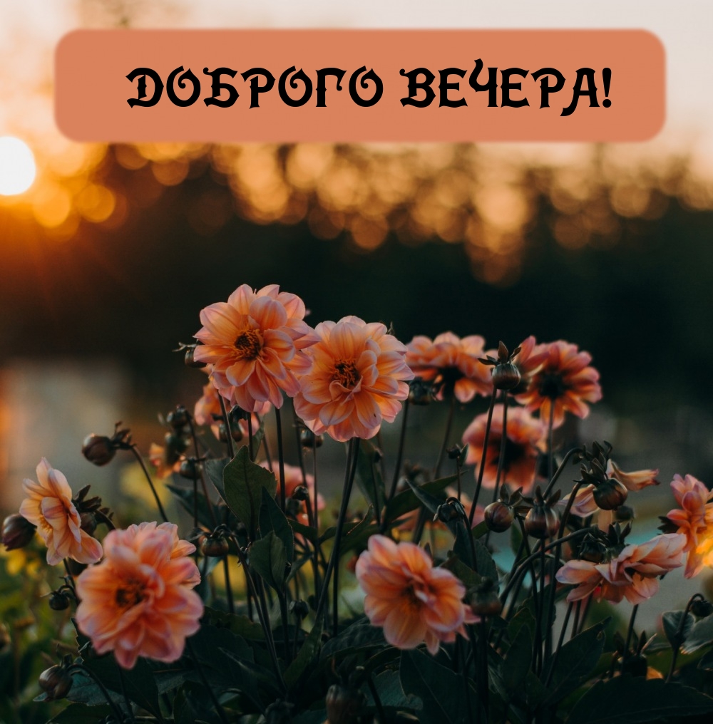Доброго вечера!