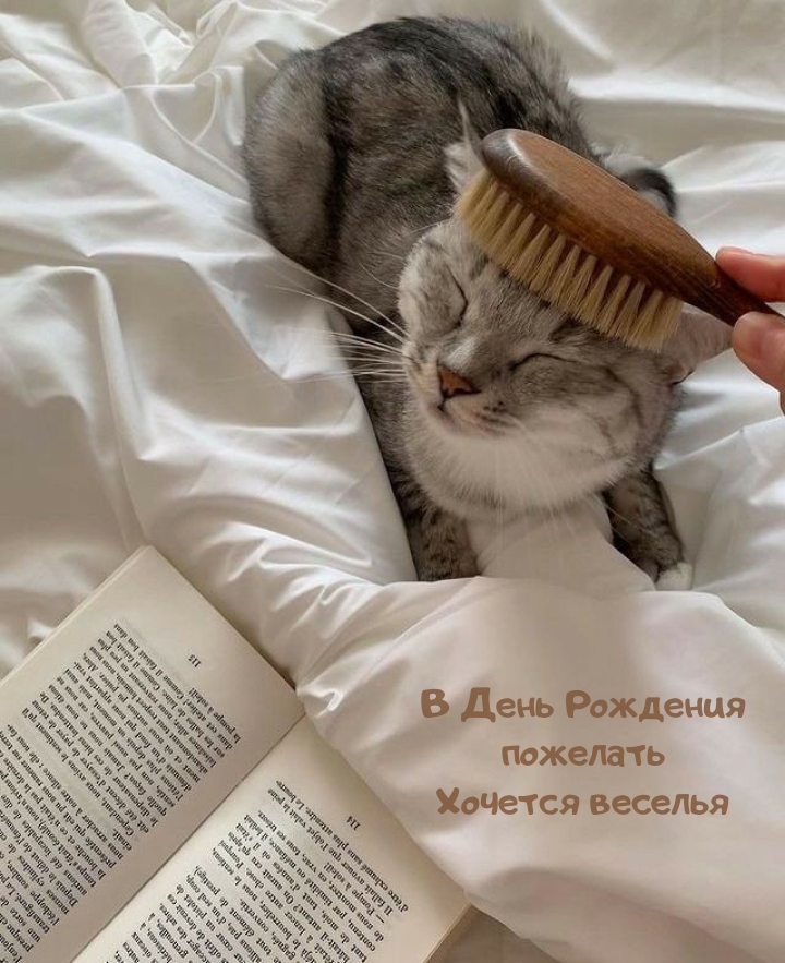 В День Рождения пожелать хочется веселья