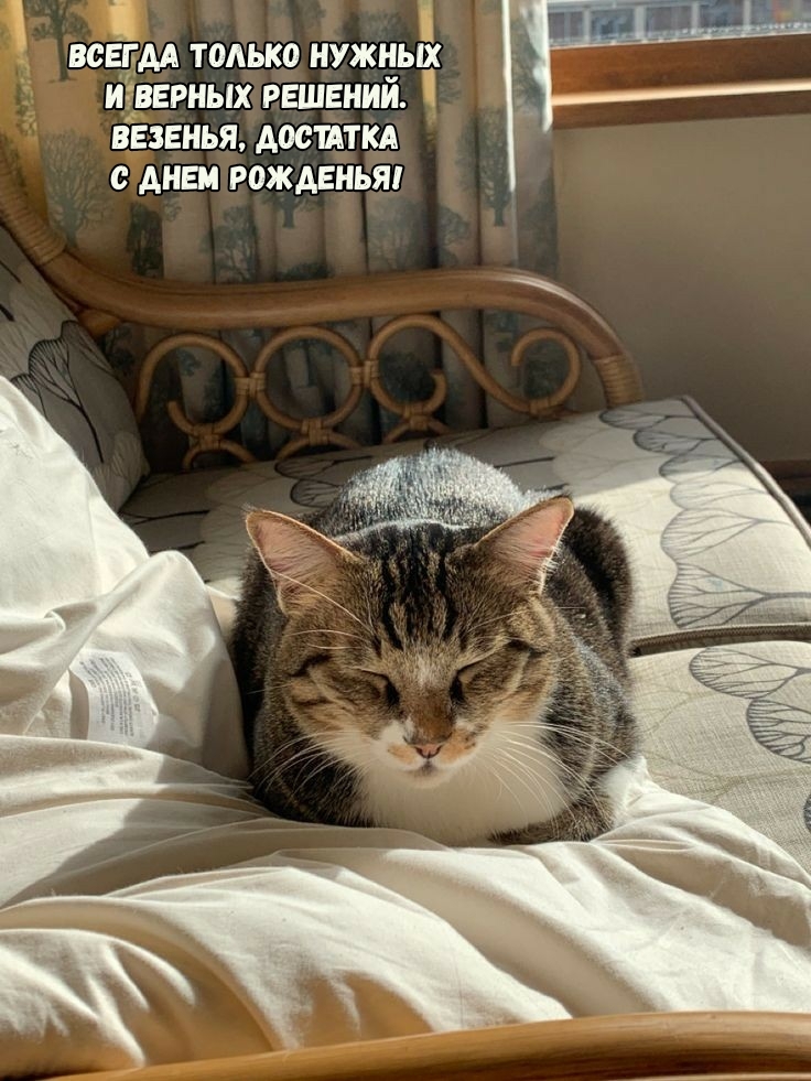 Везенья, достатка. С днем рожденья!