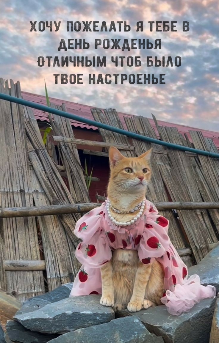 Хочу пожелать в День Рожденья Отличным чтоб было настроенье