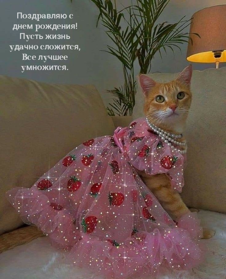 Поздравляю с днем рождения! Пусть жизнь удачно сложится