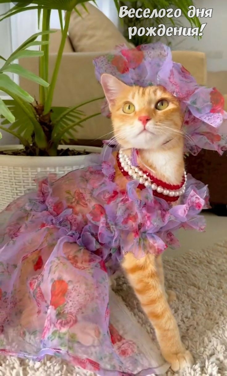 Веселого дня рождения!