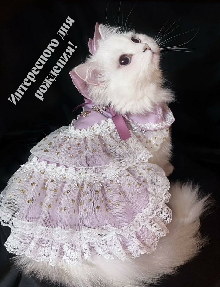 Интересного дня рождения!