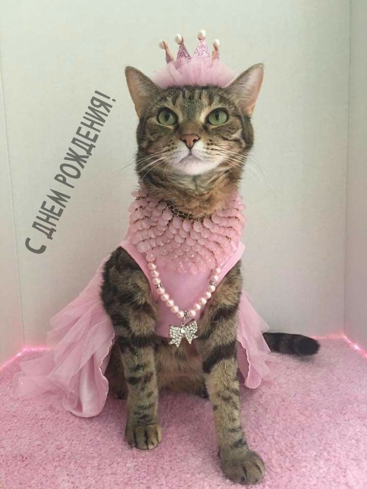 С днем рождения!