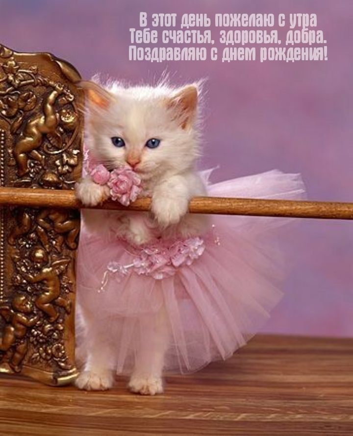 Тебе счастья, здоровья, добра. С днем рождения!