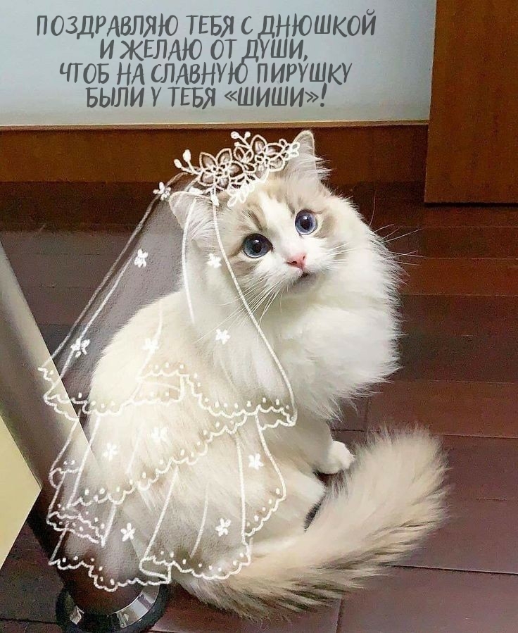 С днюшкой Чтоб на славную пирушку были у тебя «шиши»!