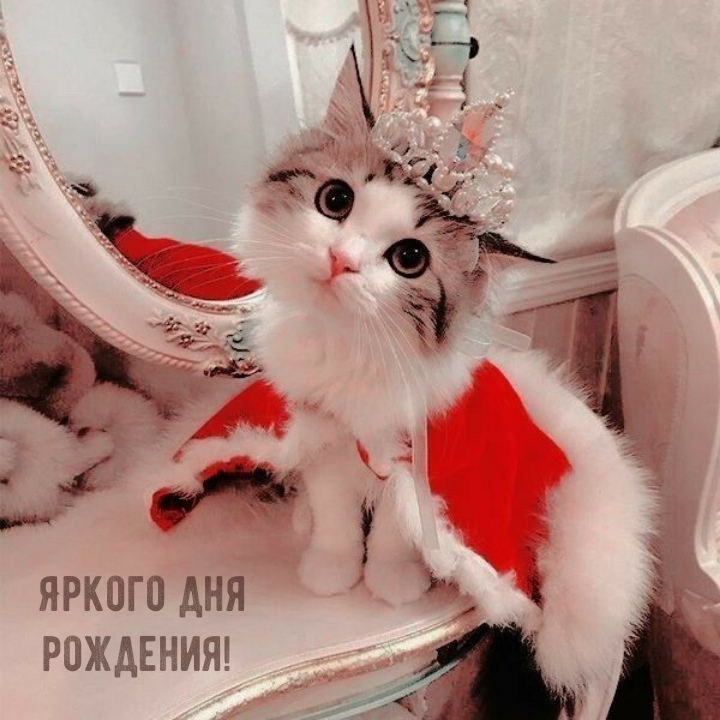 Яркого дня рождения!