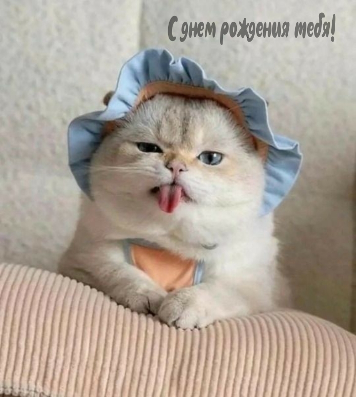 С днем рождения тебя!