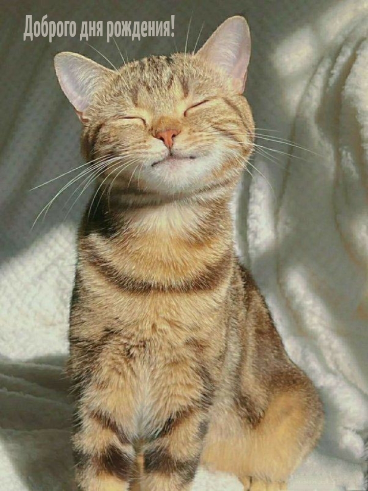 Доброго дня рождения! 