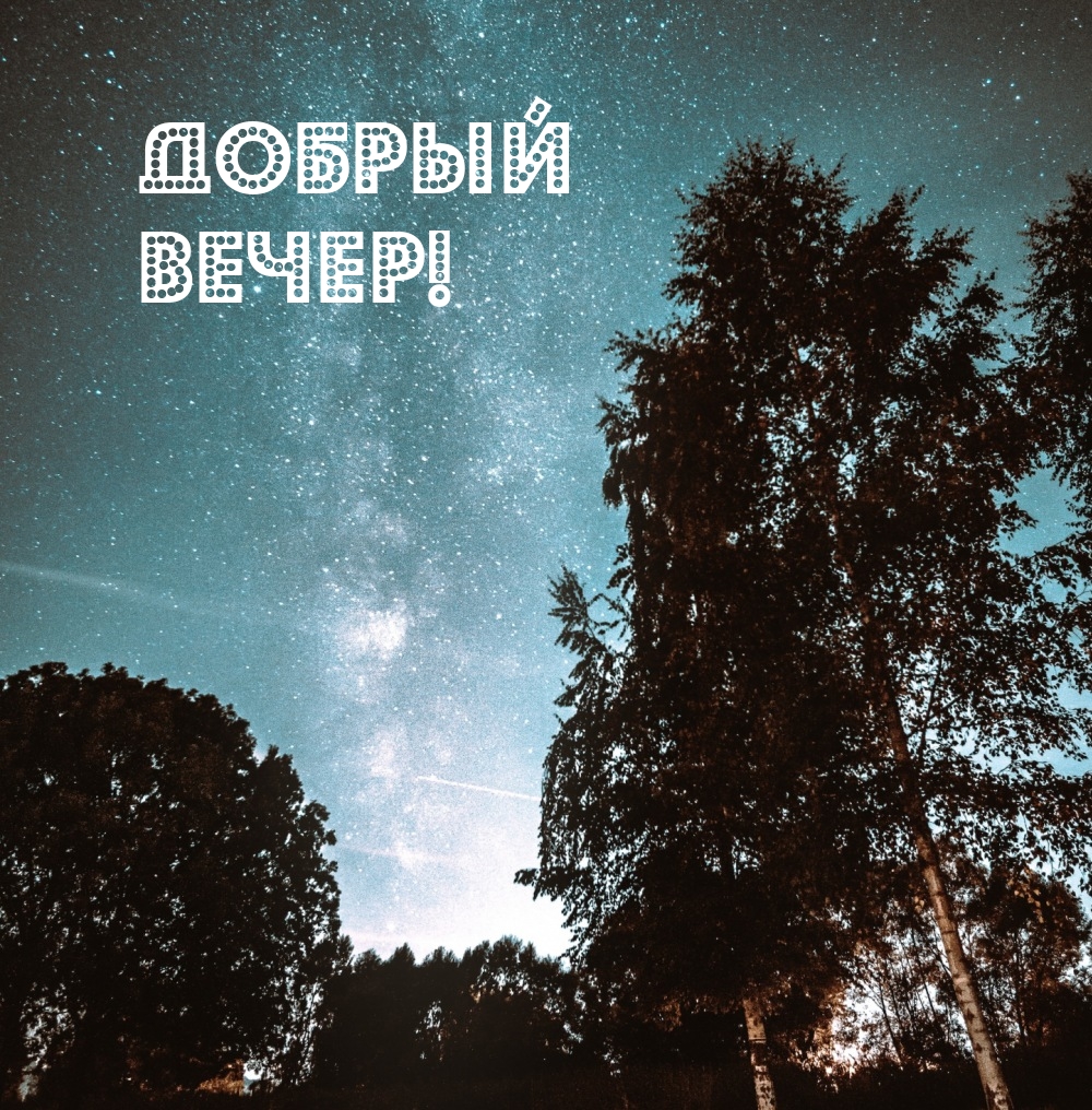 Добрый вечер!