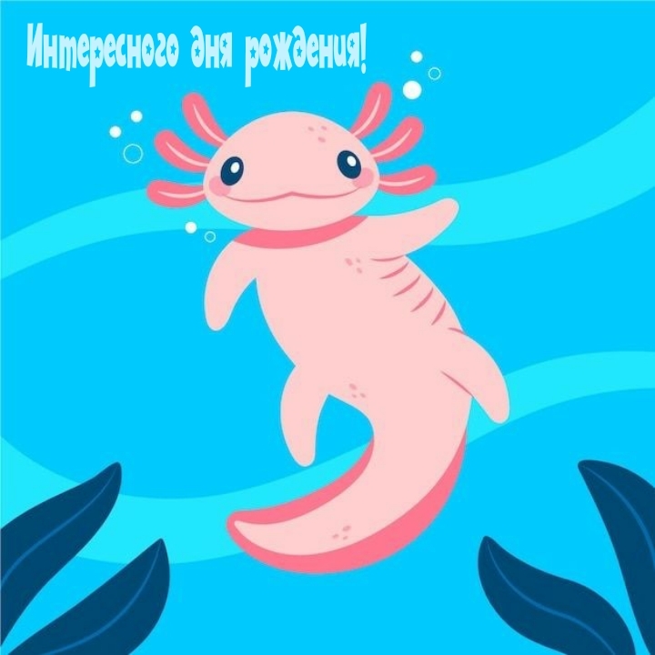 Интересного дня рождения! 