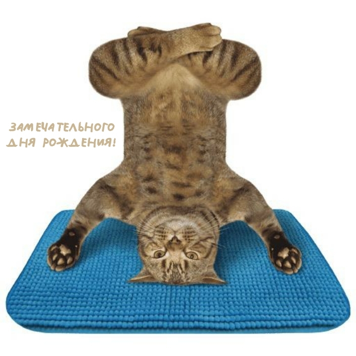 Замечательного дня рождения!