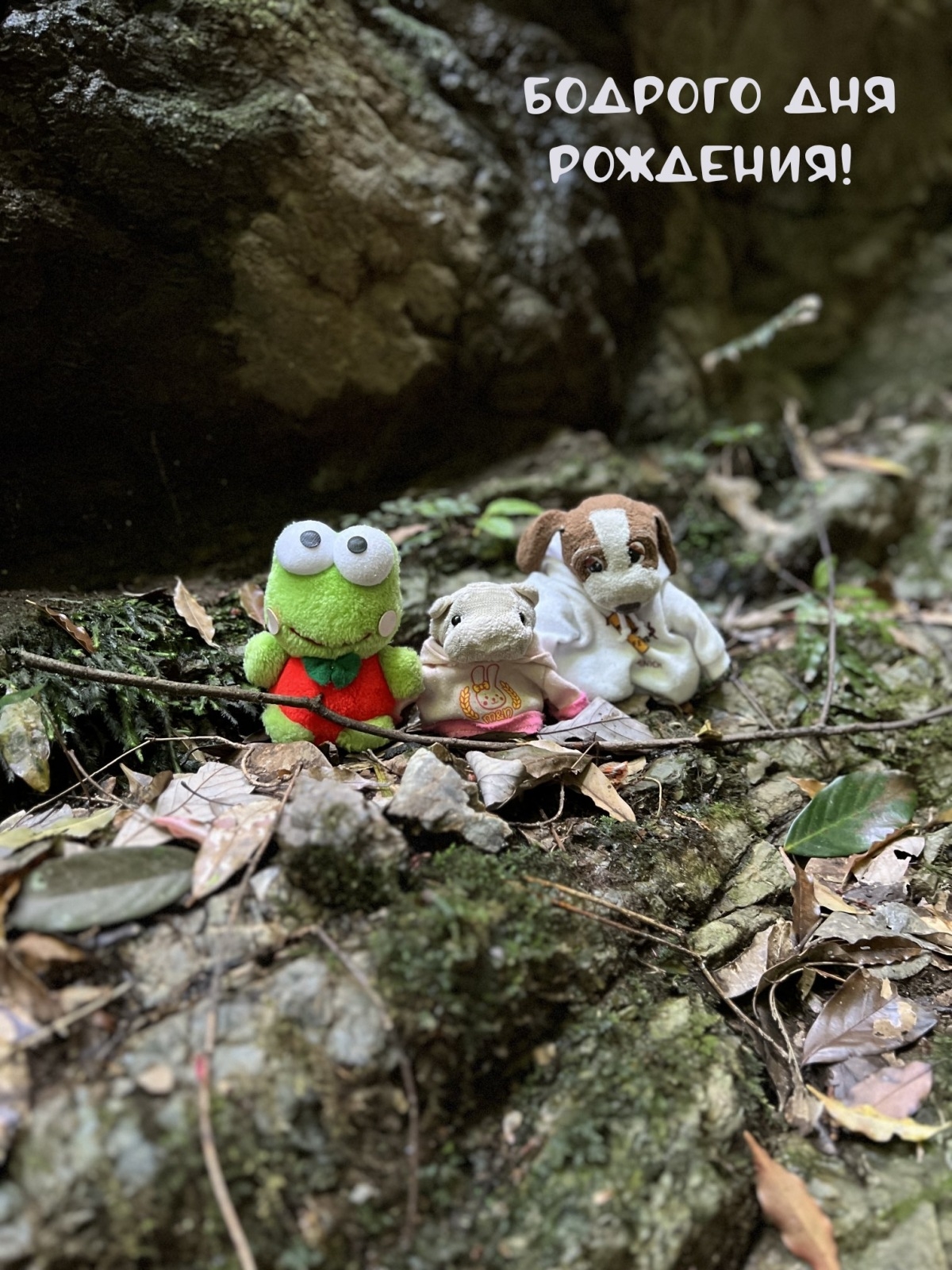 Бодрого дня рождения! 