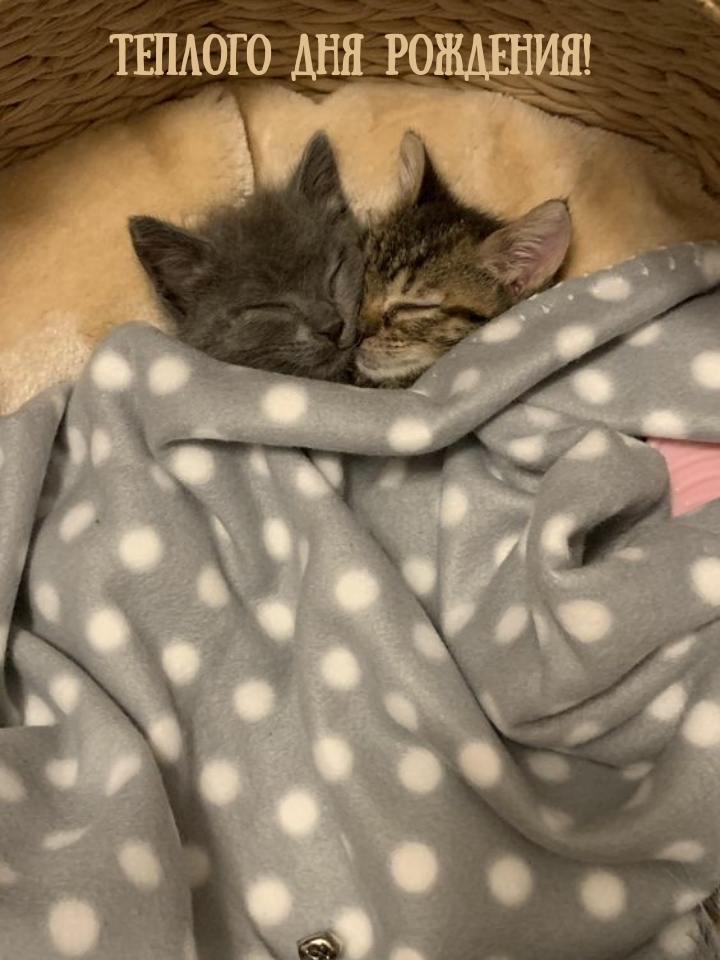 Теплого дня рождения! 