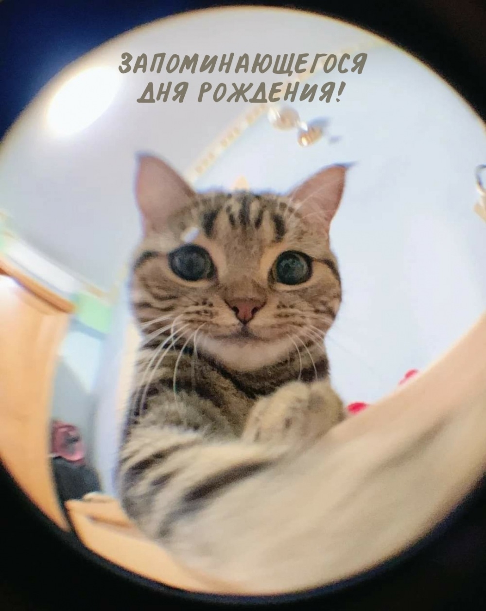 Запоминающегося дня рождения!