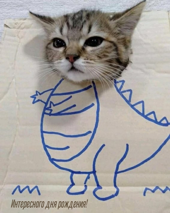 Интересного дня рождения! 
