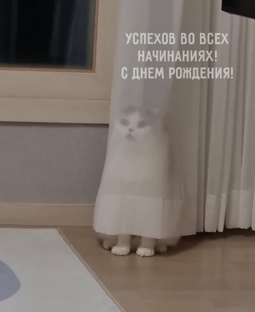 Успехов во всех начинаниях! С днем рождения!