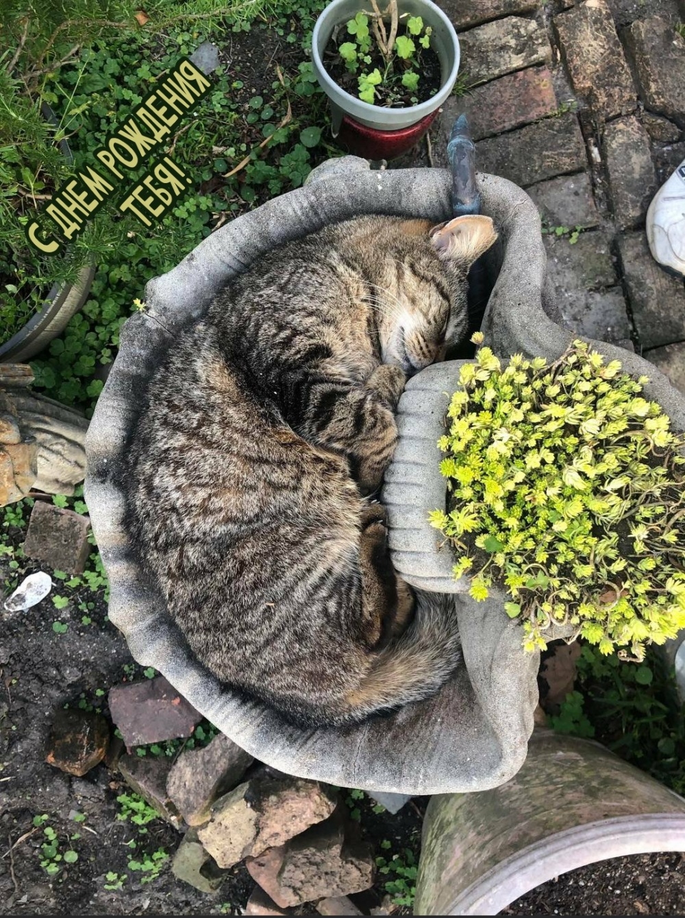 С днем рождения тебя!