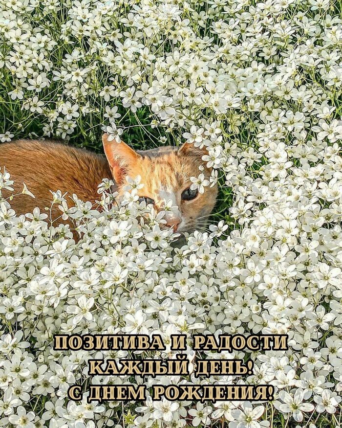Позитива и радости каждый день! С днем рождения!
