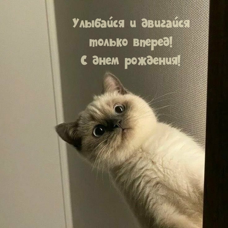 Улыбайся и двигайся только вперед! С днем рождения!