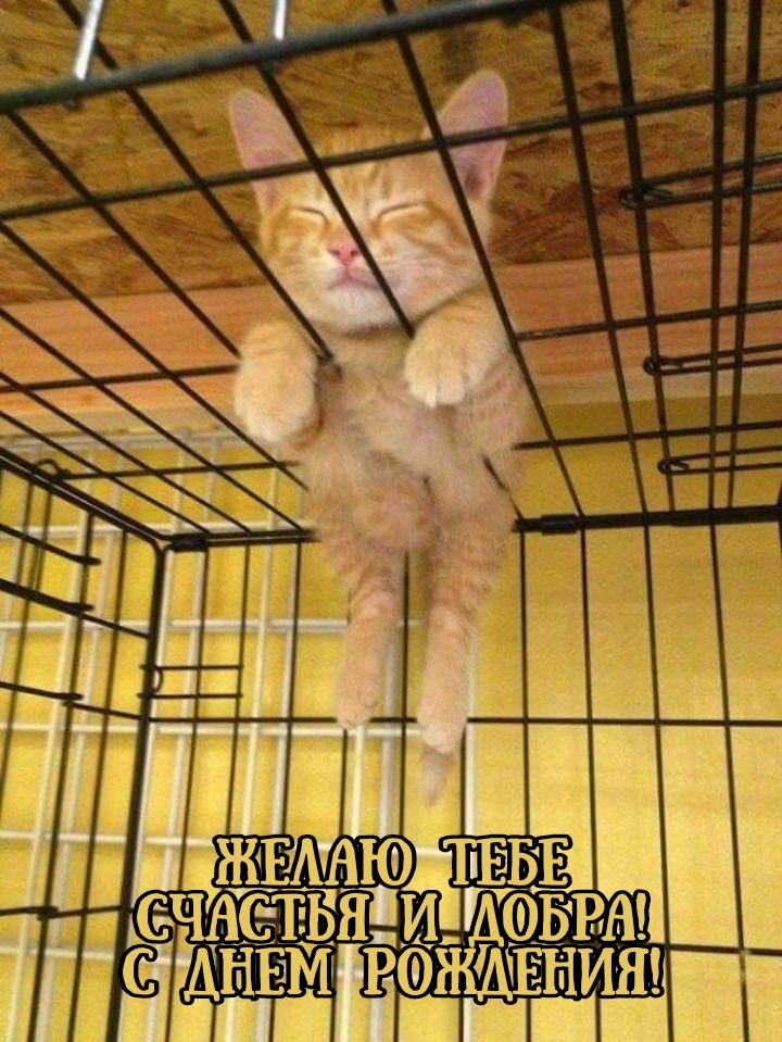 Желаю тебе счастья и добра! С днем рождения!