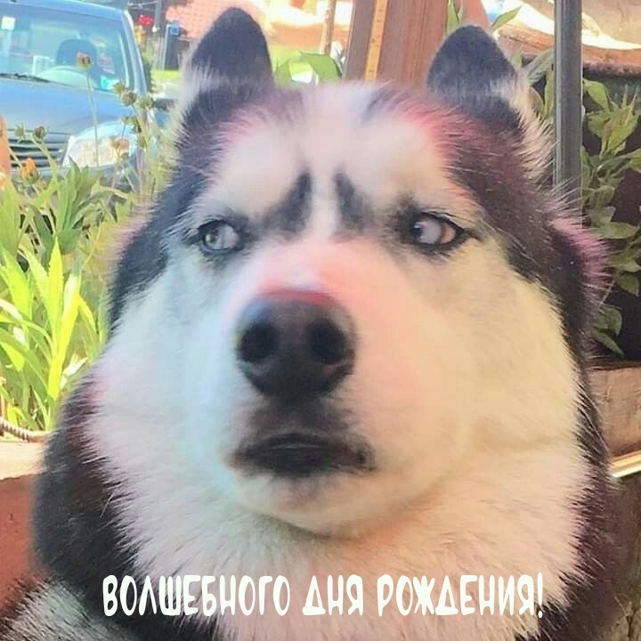 Волшебного дня рождения! 