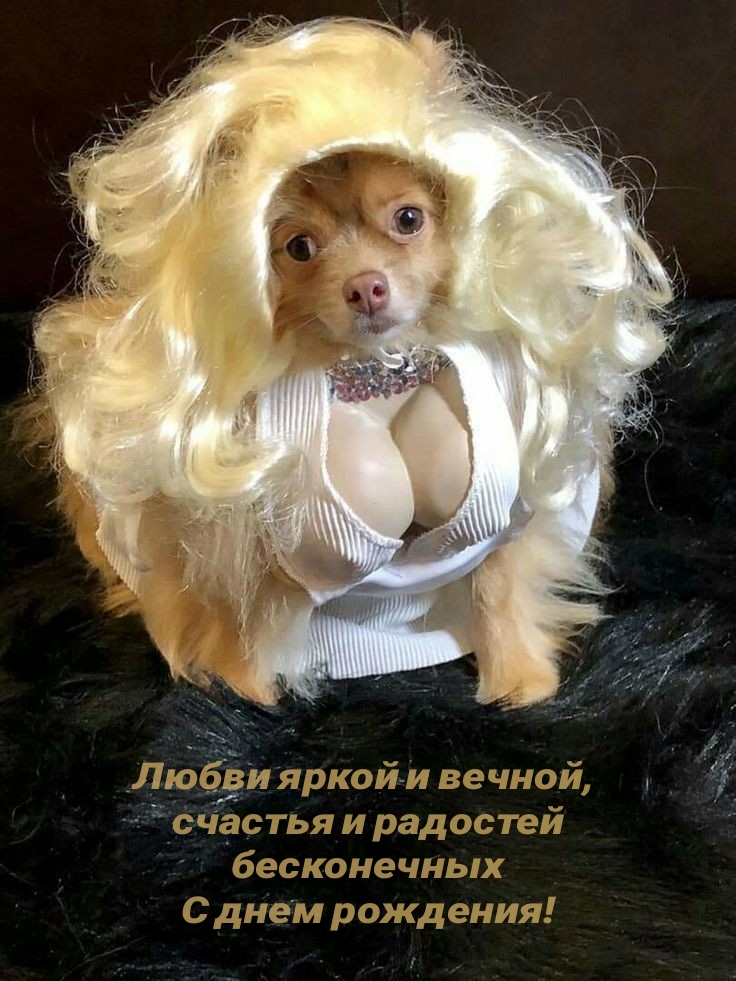 Счастья и радостей бесконечных С днем рождения!