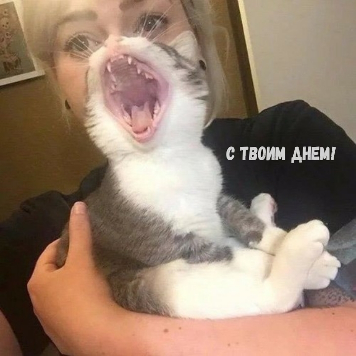 С твоим днем!