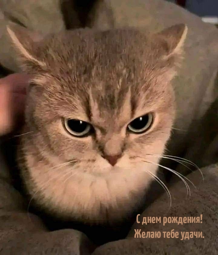 С днем рождения! Желаю тебе удачи.