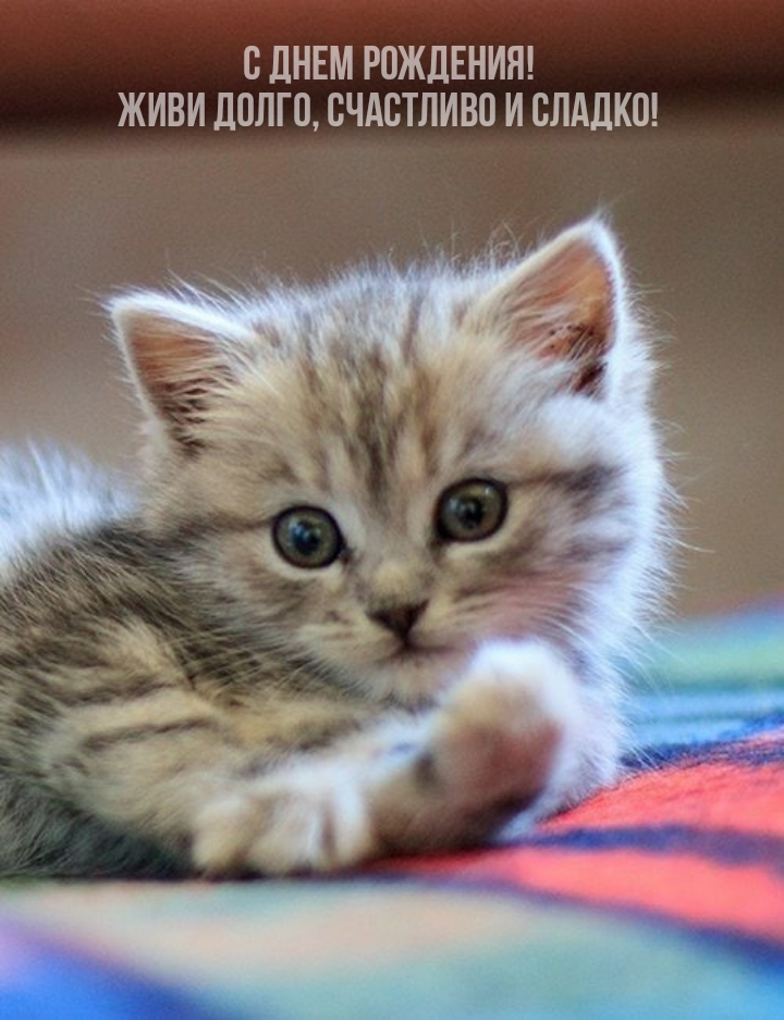 С днем рождения! Живи долго, счастливо и сладко!
