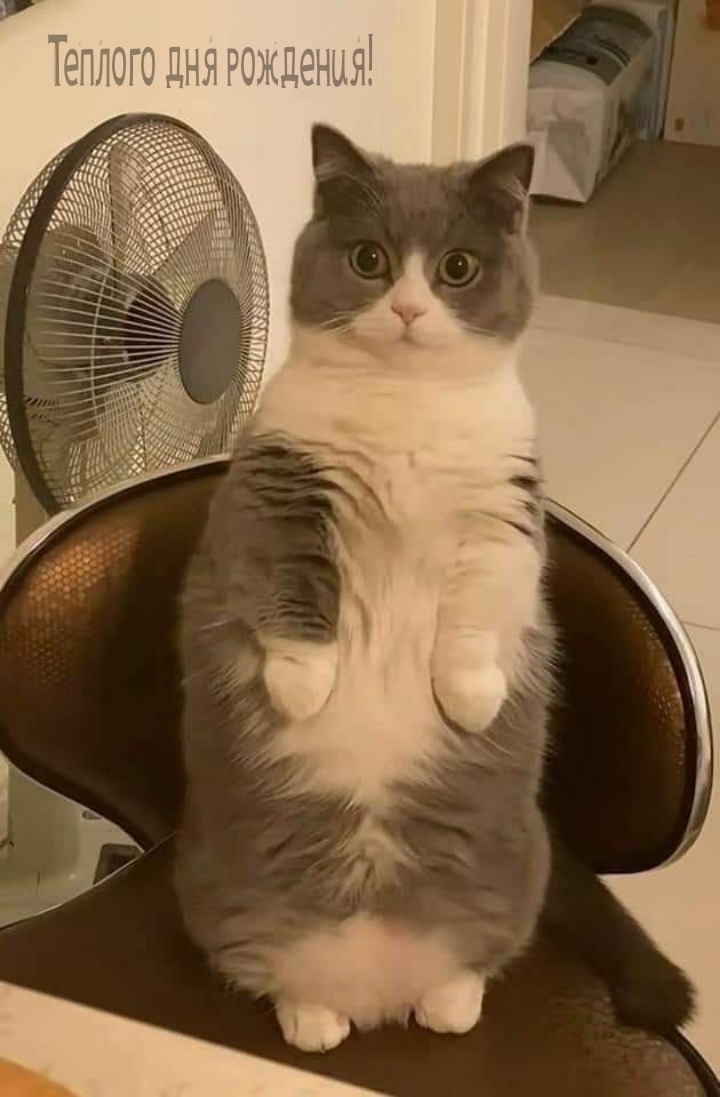 Теплого дня рождения! 