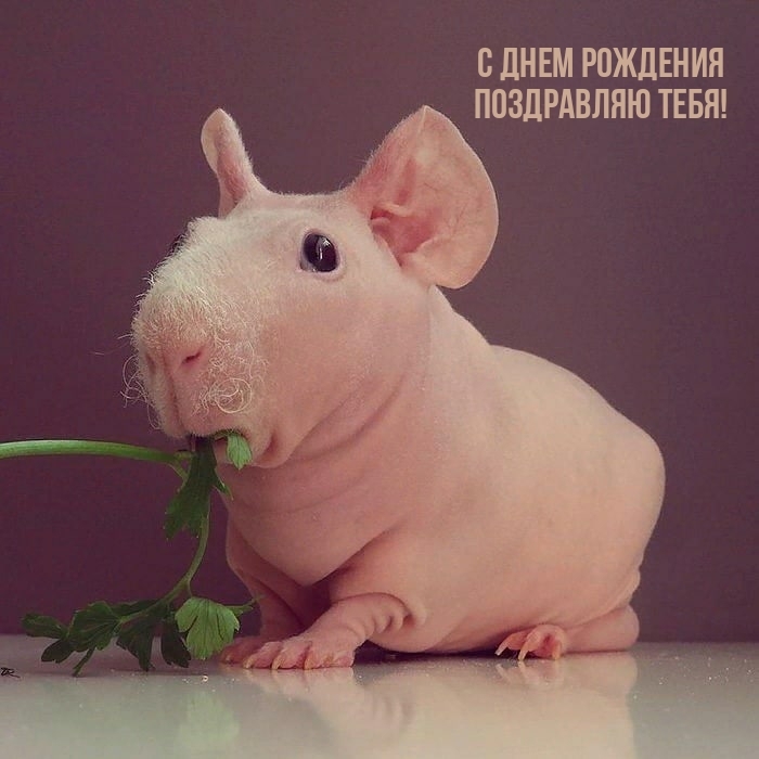 С днем рождения поздравляю тебя!