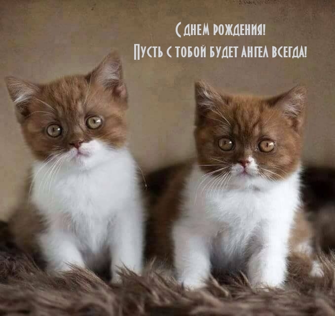 С днем рождения! Пусть с тобой будет ангел всегда!