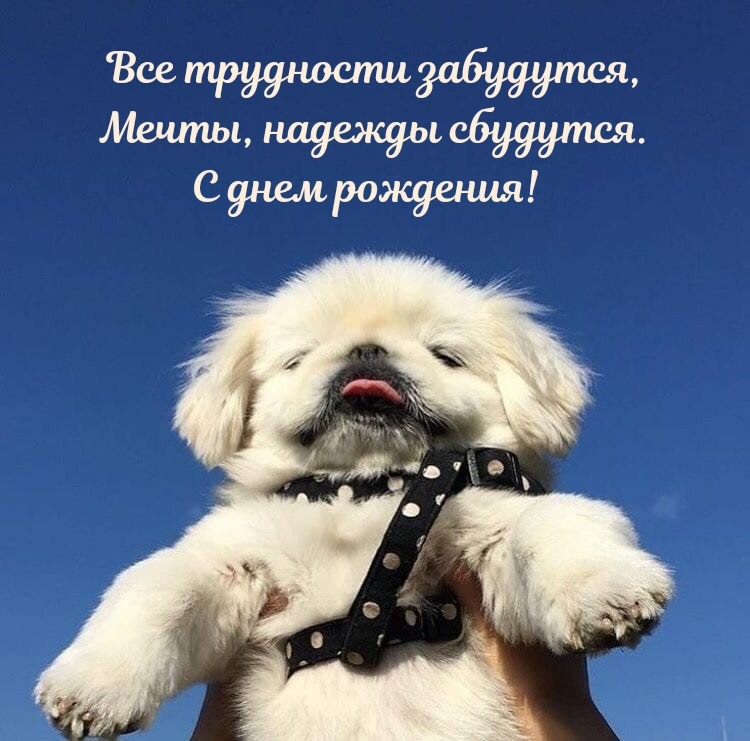 Все трудности забудутся, мечты, надежды сбудутся. С днем рождения!  