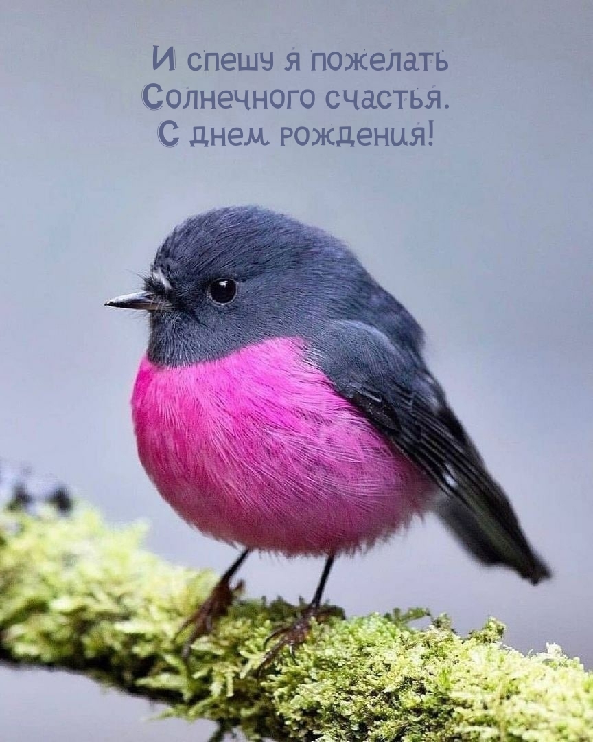 И спешу я пожелать солнечного счастья. С днем рождения!