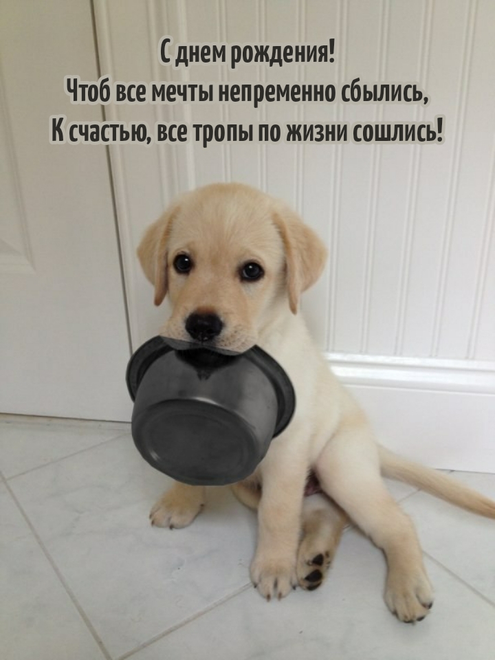 С днем рождения! Чтоб все мечты непременно сбылись